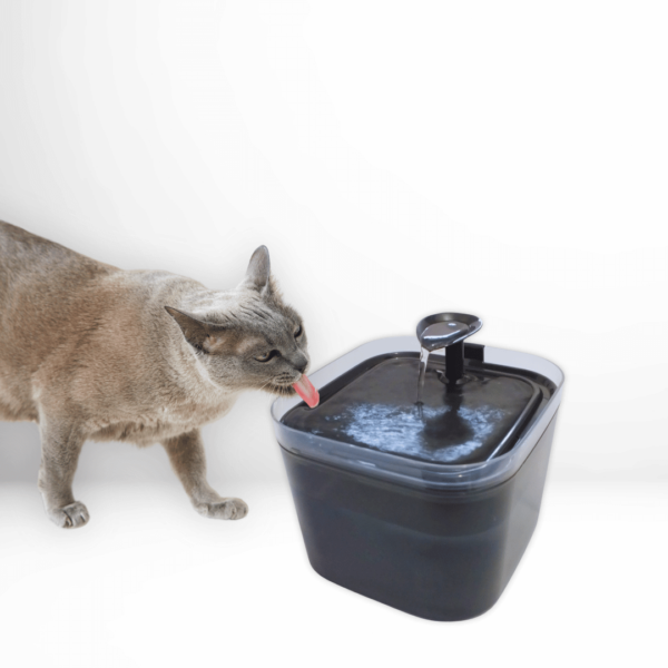 Bebedero automático para mascotas Basoto (2.2 L) - Imagen 4