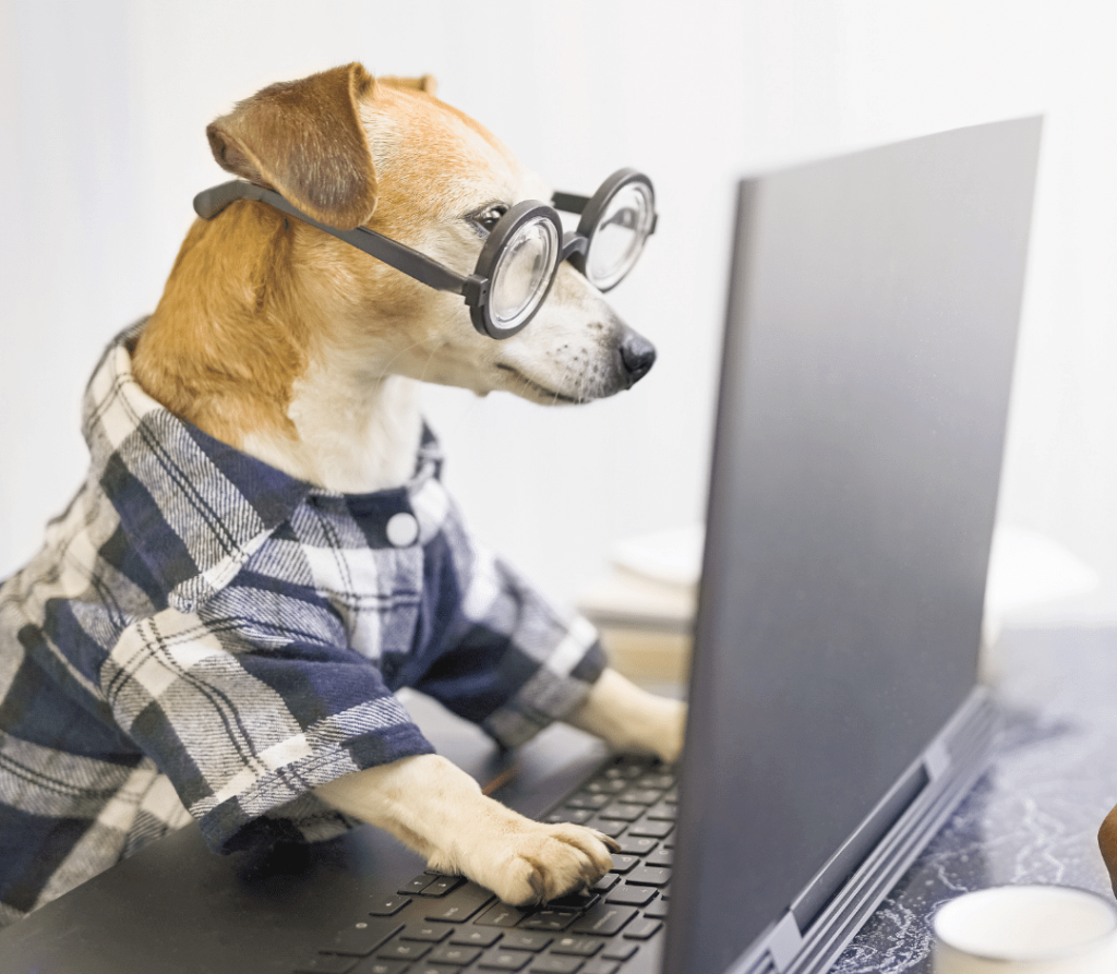 Perro utilizando una camisa a cuadros y lentes ópticos. Se encuentra frente a un computador de la tienda de mascotas Basoto.